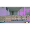 vital wheat gluten (VWG) for fish foods 75% 82%