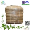 China golden supplier Food grade wheat gluten CAS No. 8002-80-0