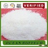 Dried Wheat Gluten Manufacturer