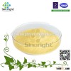 High quality natural Vital wheat gluten