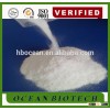 China Factory Vital Wheat Gluten