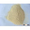 vital wheat gluten(food grade)