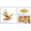 RG hot sale organic gluten