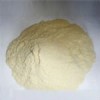 vital wheat gluten for food industry