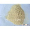 Vital Wheat Gluten organic (SXR2011)