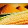 Corn starch