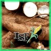 THAI TODAY Modified Tapioca Starch Industrial Grade and Food Grade