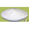 Cationic Starch