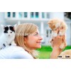Potato Starch for pet food & aqua