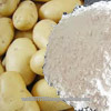 Potato Starch Food Grade VERY HIGH GRADE HOT SALES