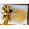 ginger powder 2016, no impurities, 100% starch - premium, competitive price in vietnam