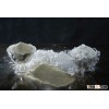 wheat starch