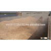 Quality cassava (tapioca) chips for producing ethanol, alcohol