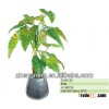 bonsai artificiale for wholesales