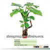 bonsai plants decorative home
