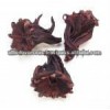 Dried Hibiscus Flowers