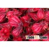 Dried Hibiscus ( Whatsapp/ kakaotalk: 0084 907 886 929 )