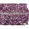 Medical Herb damask rose