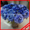 Fresh blue color rose cut flower