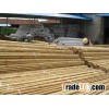 Natural high quality Bamboo poles sale