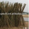 BAMBOO POLES