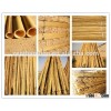 ZENT-1 bamboo pole