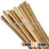 Bamboo canes