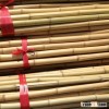 bamboo pole