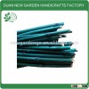 bamboo plant green color stakes
