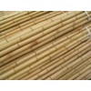 bamboo poles / canes (bp-05)