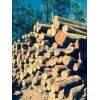 Hardwood Logs HIGH QUALITY Hardwood Logs