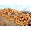round Logs