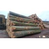 german beech logs