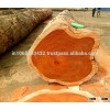 CHEAP AND BEST QUALITY WOODEN LOGS