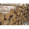 timber logs