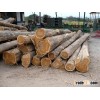 TEAK WOOD FOR SALE