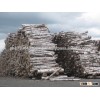 European white birch log