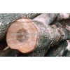 TEAK WOODEN ROUND LOGS EXPORTS FROM INDIYA