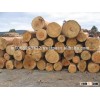 TEAK WOODEN ROUND LOGS