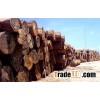 We sell sawn timber : Keruing, Black Walnut, Balau wood.