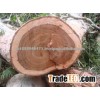 Sapelli/ Accajou / Bubinga Ebony/ Iroko /Timber Logs /Tali Logs/ Mahogany Logs HIGH QUALITY