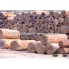 IROKO, SAPELLI, ACCAJOU, BUBINGA, EBONY, MAHOGANY, FRAKE, TEAK, PADOUK, OBECHE, DOUSSIE, PACHYLOBA,