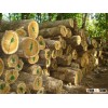 Teak logs