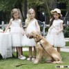 China Supplier Elegant Puffy Prom Dress,Free Prom Dress,One Piece girls party dresses