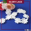 hot sale new design product mini flower eyelet white scallop embroidery eyelash cotton lace trim for