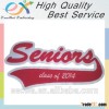 embroidery manufacturer customized chenille patches