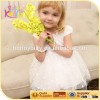 Children Frocks Designs 2016 Baby Dress,Beautiful Birthday Dress for 3 Year Old