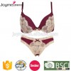 2016 new design bra set/accept OEM women underwear