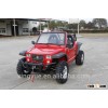 4X4 800CC dune buggy for sale with EFI engine