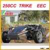 2016 250CC zhenhua reverse trike with EEC approved